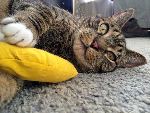 Oliver with banana 1