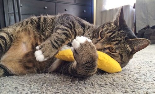 Oliver with banana 2